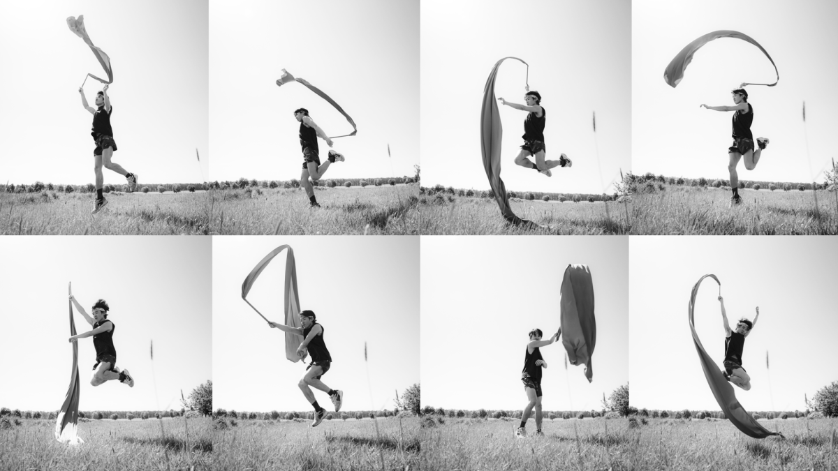 Several pictures like a stop-motion next to each other, in which a person performs with a long ribbon on a meadow